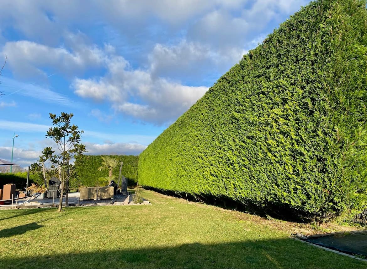 Aménagement paysager